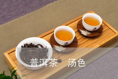 普洱茶 汤色/2023042994088